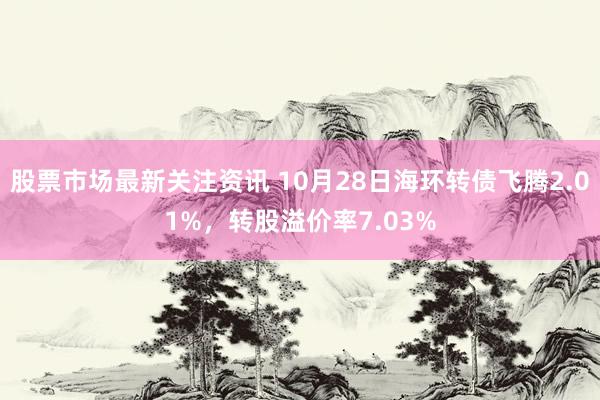 股票市场最新关注资讯 10月28日海环转债飞腾2.01%，转股溢价率7.03%