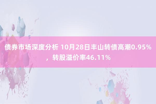 债券市场深度分析 10月28日丰山转债高潮0.95%，转股溢价率46.11%