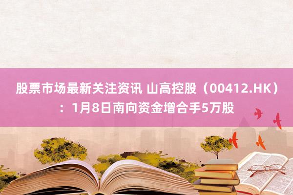 股票市场最新关注资讯 山高控股（00412.HK）：1月8日南向资金增合手5万股