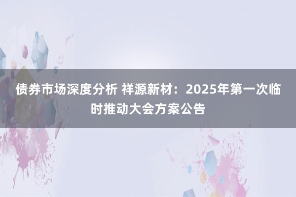 债券市场深度分析 祥源新材：2025年第一次临时推动大会方案公告