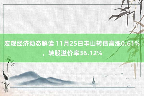 宏观经济动态解读 11月25日丰山转债高涨0.61%，转股溢价率36.12%