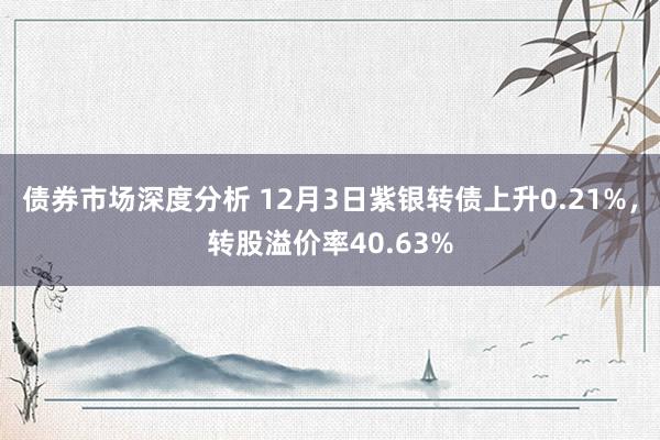 债券市场深度分析 12月3日紫银转债上升0.21%，转股溢价率40.63%