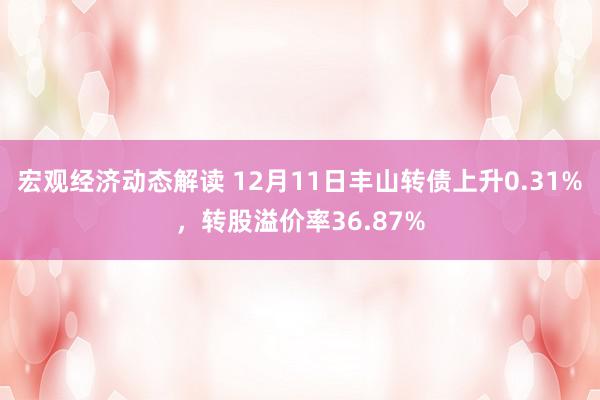 宏观经济动态解读 12月11日丰山转债上升0.31%，转股溢价率36.87%