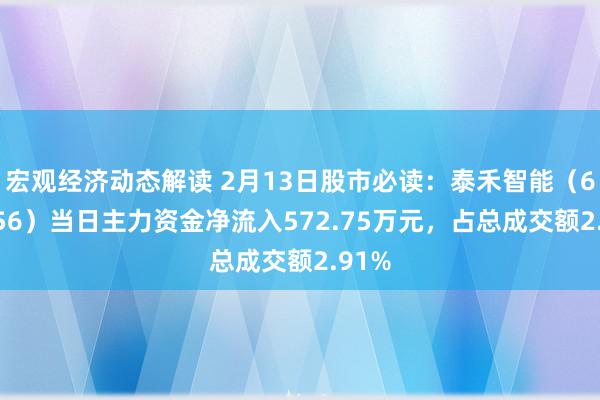 宏观经济动态解读 2月13日股市必读：泰禾智能（603656）当日主力资金净流入572.75万元，占总成交额2.91%