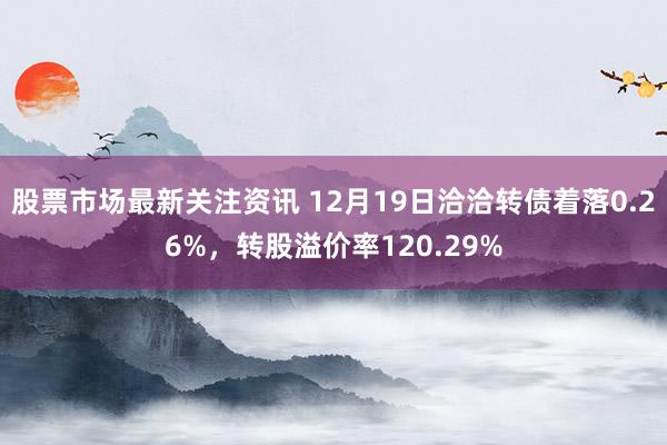 股票市场最新关注资讯 12月19日洽洽转债着落0.26%，转股溢价率120.29%