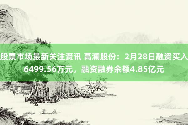 股票市场最新关注资讯 高澜股份：2月28日融资买入6499.56万元，融资融券余额4.85亿元