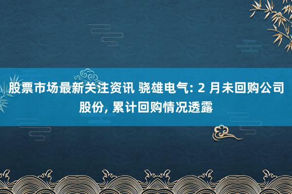 股票市场最新关注资讯 骁雄电气: 2 月未回购公司股份, 累计回购情况透露