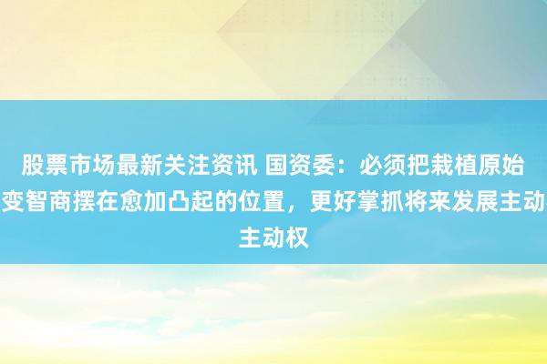 股票市场最新关注资讯 国资委：必须把栽植原始更变智商摆在愈加凸起的位置，更好掌抓将来发展主动权