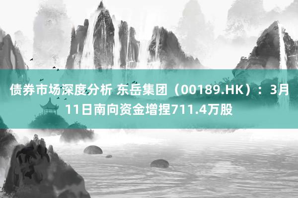 债券市场深度分析 东岳集团（00189.HK）：3月11日南向资金增捏711.4万股