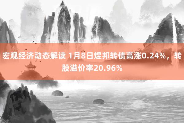 宏观经济动态解读 1月8日煜邦转债高涨0.24%，转股溢价率20.96%