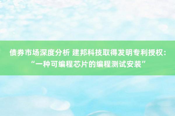 债券市场深度分析 建邦科技取得发明专利授权：“一种可编程芯片的编程测试安装”