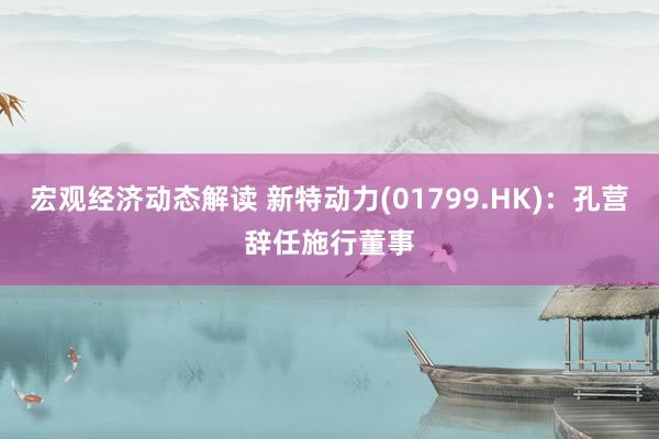 宏观经济动态解读 新特动力(01799.HK)：孔营辞任施行董事