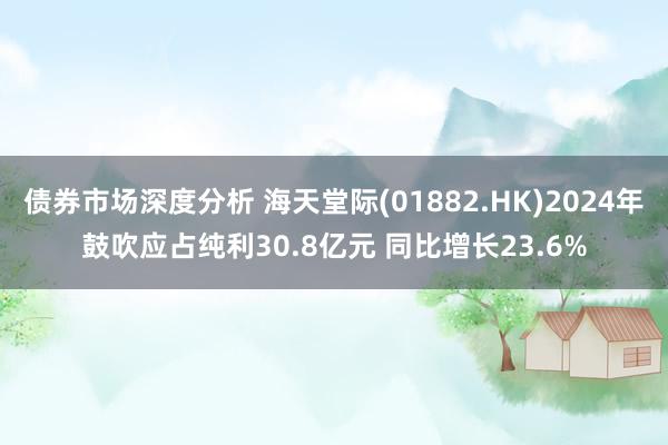 债券市场深度分析 海天堂际(01882.HK)2024年鼓吹应占纯利30.8亿元 同比增长23.6%